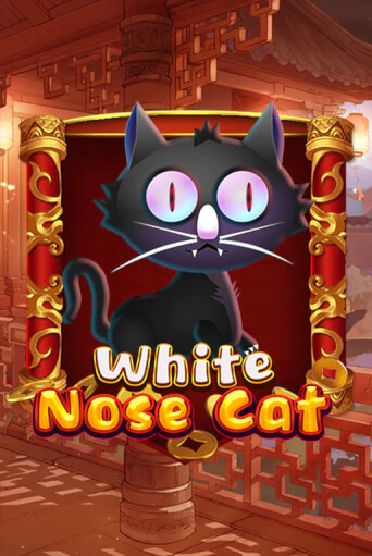White Nose Cat ига на фантики | MaxBet без риска
