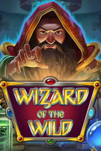 Wizard of the Wild ига на фантики | MaxBet без риска